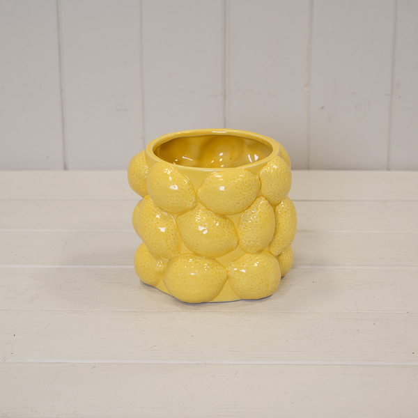 Zesty Lemon 3D Pot.