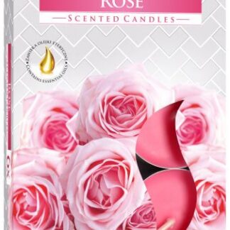 Set of 6 Scented Tealights - Rose
