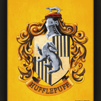 Harry Potter Hufflepuff Framed 3D Picture