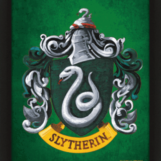 Harry Potter Slytherin Framed 3D Picture