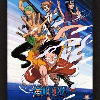 One Piece Framed Assault 3D Picture