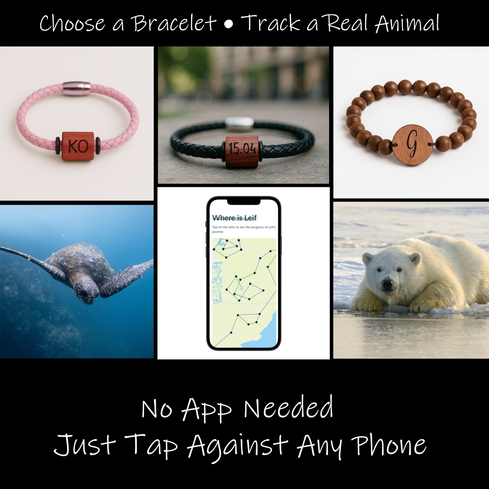 Wave Bracelet - Track a real Polar Bear