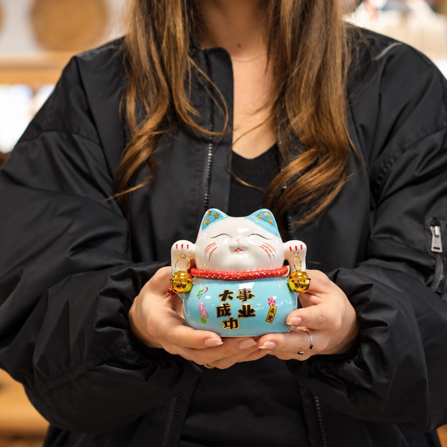 Ceramic Money Cat Bank - Blue on Cushion